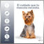 Pack Productos para Yorkshire Terrier - Hecho España - MD10 COLLECTION, , large indicador imagen numero 3