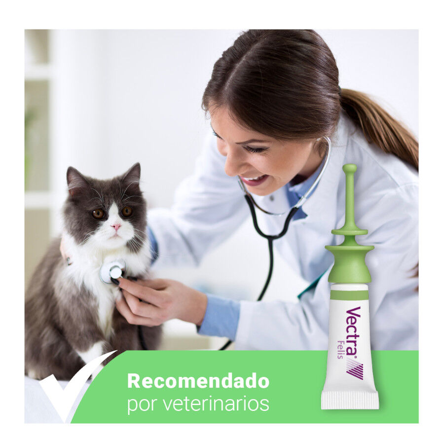 Vectra Felis Pipetas Antiparasitarias para gatos thumbnail