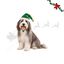 Wonder Christmas Gorro &Aacute;rbol Navidad para perros, , large indicador imagen numero 1