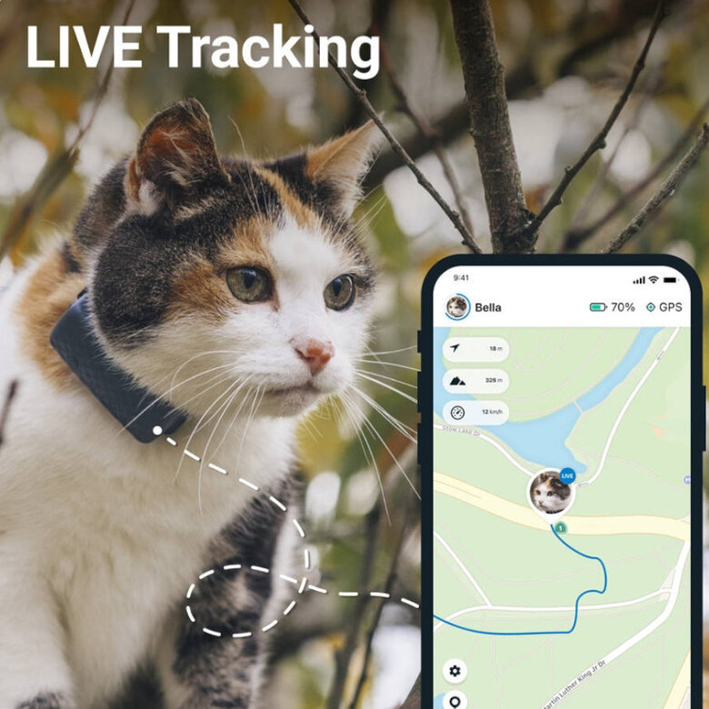 Tractive - Localizador GPS para Gatos. Localización en Directo e Historial  de Ubicaciones. Compatible con Todo Tipo de Collar felino. (Azul Oscuro)