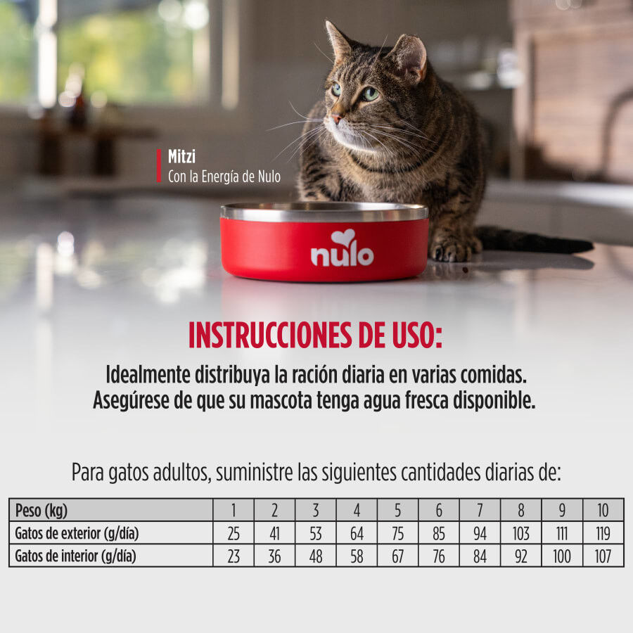 2 kg Nulo Raw Medley Pienso Salm&oacute;n Pollo y Pavo para gatos, , large Imagen numero 3