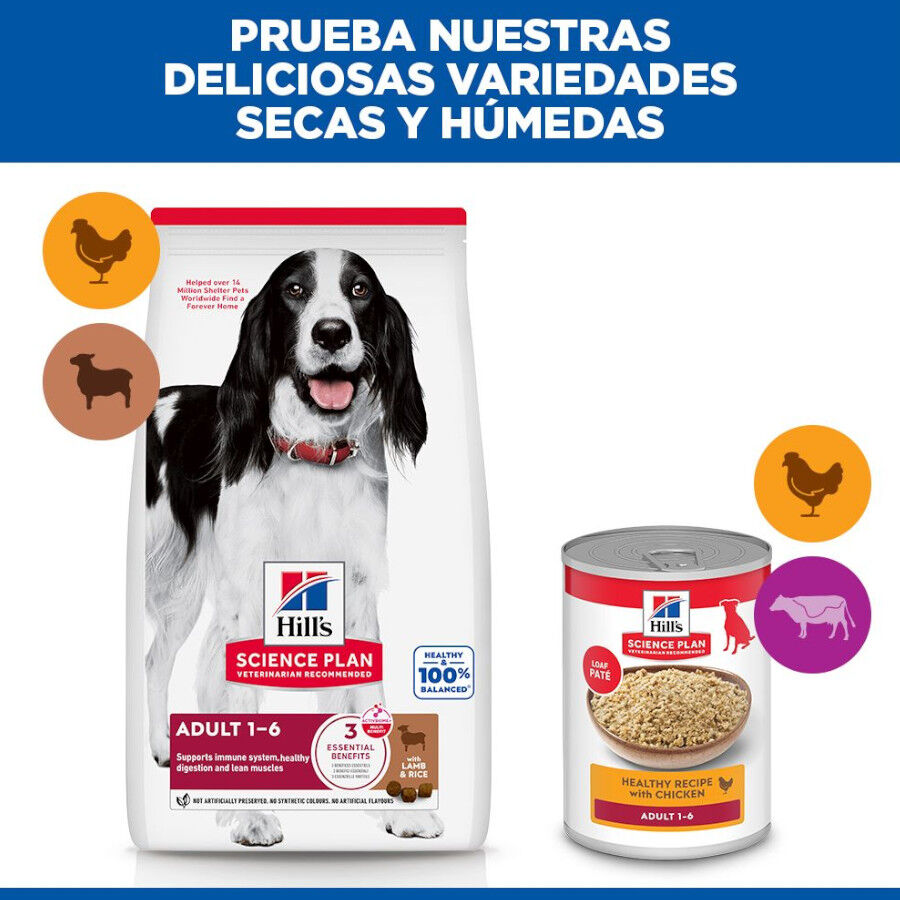 18 kg Hill's Science Plan Adult Medium Cordero y Arroz pienso para perros, , large Imagen numero 9