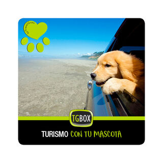 TGBOX Turismo con tu mascota