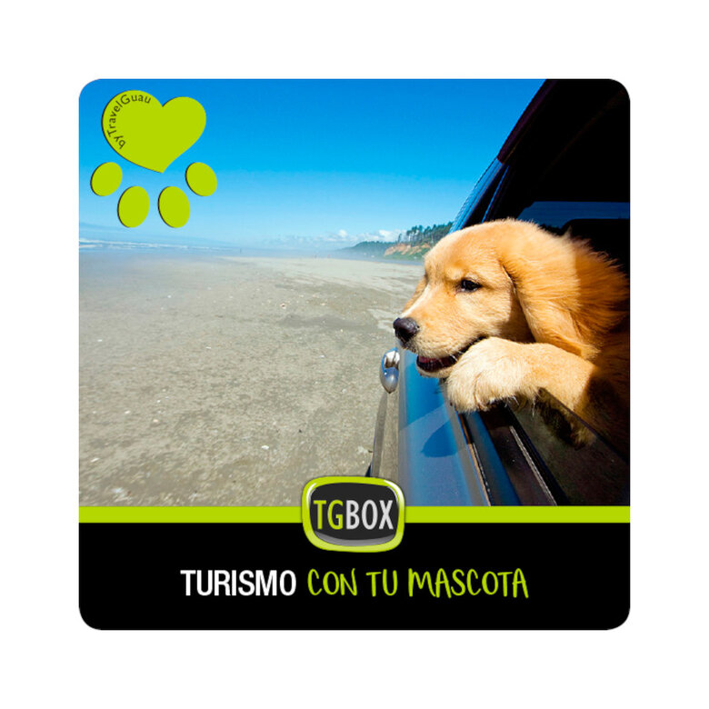 TGBOX Turismo con tu mascota, , large image number null
