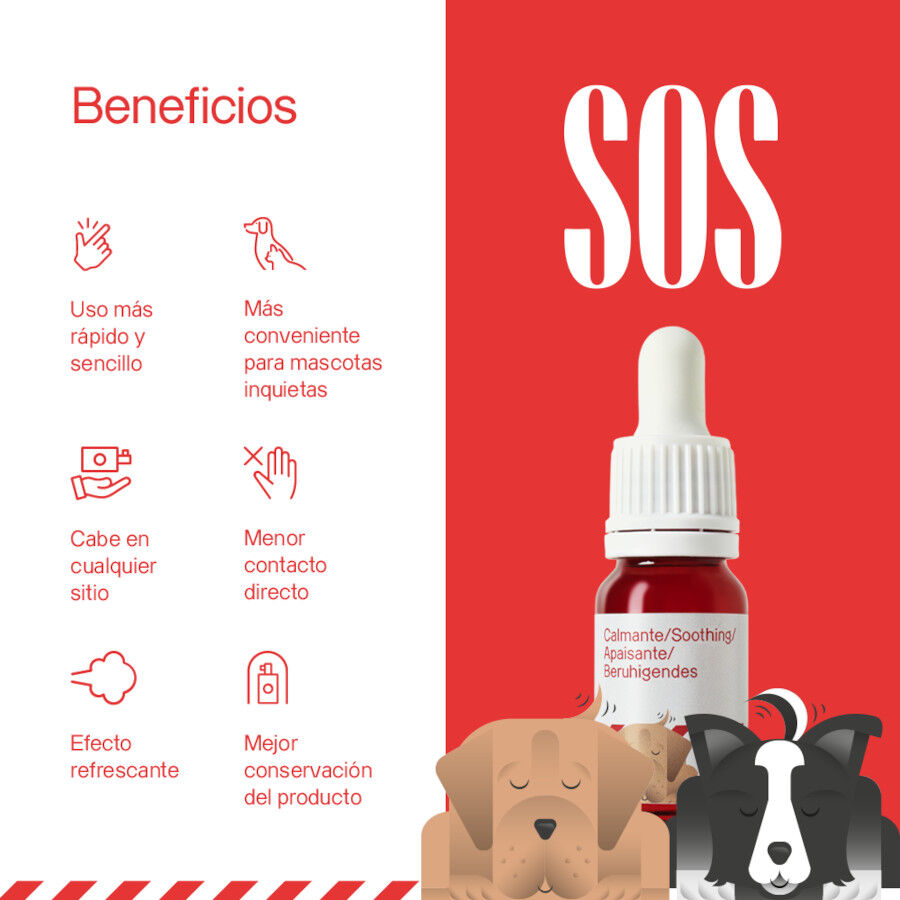 Dogs.Drops Oil 10% 1000mg CBD Salm&oacute;n, , large Imagen numero 2