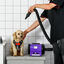 PawHut Secador de Pelo para Perros 2800W Soplador de Agua para Mascotas con Temperatura y Velocidad del Viento Ajustable 3 Boquillas Tubo Flexible 2,1 m y Asa Portátil 40x16x20 cm Negro y Púrpura, , large indicador imagen numero 2