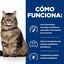 82 g Hill's Prescription Diet Gastrointestinal Biome Estofado de Pollo lata para gatos, , large indicador imagen numero 2