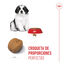 1 kg Royal Canin Puppy Giant pienso para perros, , large indicador imagen numero 5