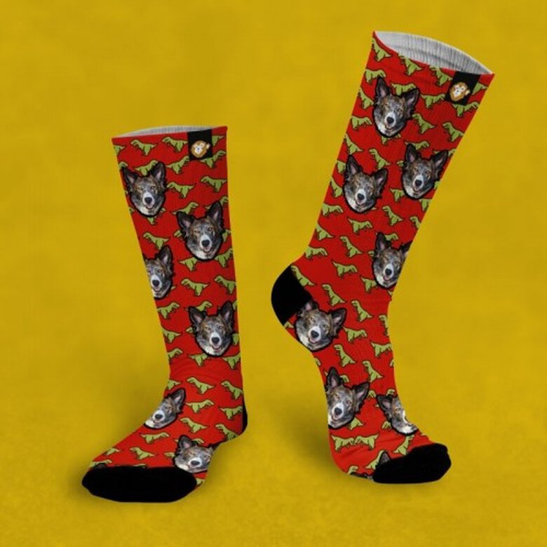 Calcetines personalizados Dino 1 mascota color Rojo, , large image number null