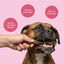 dr.bimix Nervio de Cerdo Trenzado para Perros | Masticaci&oacute;n Natural y Entretenimiento Duradero, , large indicador imagen numero 3
