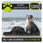 Mil y una escapadas con tu mascota TGBOX, , large image number null