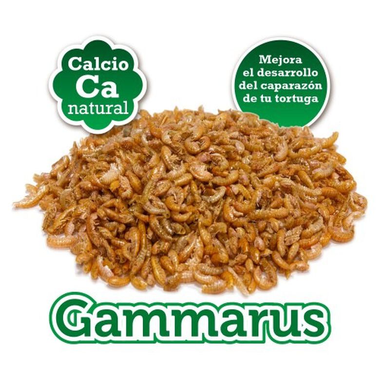 Alimento Gammarus para tortugas de agua thumbnail