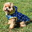 Nayeco Abrigo Acolchado Paws Print Azul para perros, , large indicador imagen numero 1