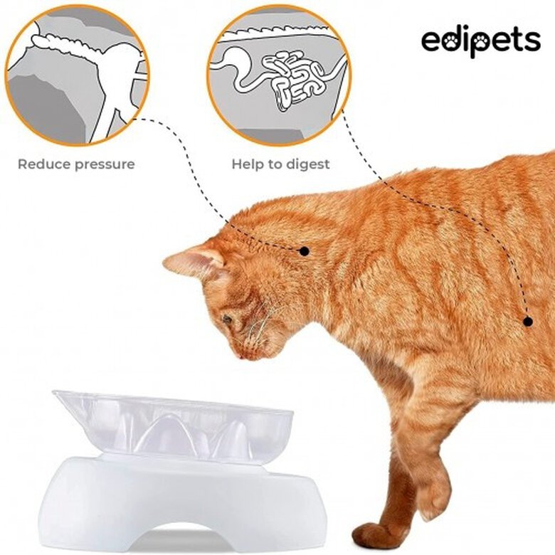 Edipets comedero individual antivoracidad para gatos, , large image number null