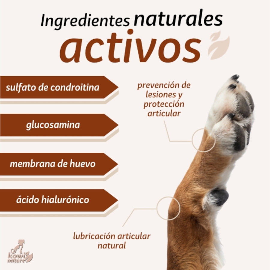 Kowi Nature Condroprotector natural KOWI FLEX plus drops para perros y gatos, , large Imagen numero 4