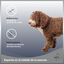 MD-10 Champú Hidratante vegano para perro de Agua Español Marrón, , large indicador imagen numero 2