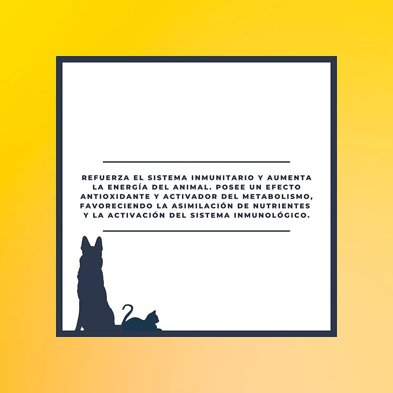 Finca Casarejo Energy Premium Suplemento Energético para Perros y Gatos thumbnail