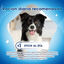 36 barritas Dentalife Snacks Dentales para perros de raza grande, , large indicador imagen numero 4
