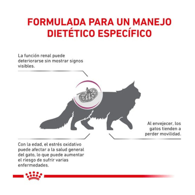 Royal Canin Veterinary Early Renal pienso para gatos, , large image number null