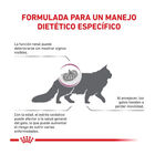 Royal Canin Veterinary Early Renal pienso para gatos, , large image number null