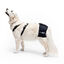 Soporte de Cadera para Perros con Displasia de Cadera o Artrosis, , large indicador imagen numero 6