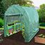 Invernadero Politúnel con Estanterí­a Galvanizada de Jardí­n Carpa de Cultivo 19mm 5 x 2m, , large indicador imagen numero 7