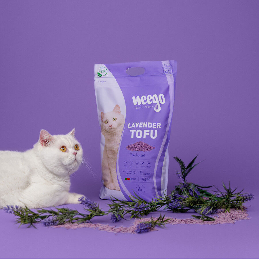 18 L Weego Lavender Tofu Arena aglomerante para gatos, , large Imagen numero 4