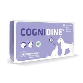 Cognidine Caja de 60 comprimidos