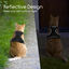 Nobleza Antiescape y Ajustable Arnés Gato con Correa de 150 cm, para Gatos pequeños medianos Grandes Mascotas Gatito Cachorro Conejo, con Banda Reflectante,M, , large indicador imagen numero 5