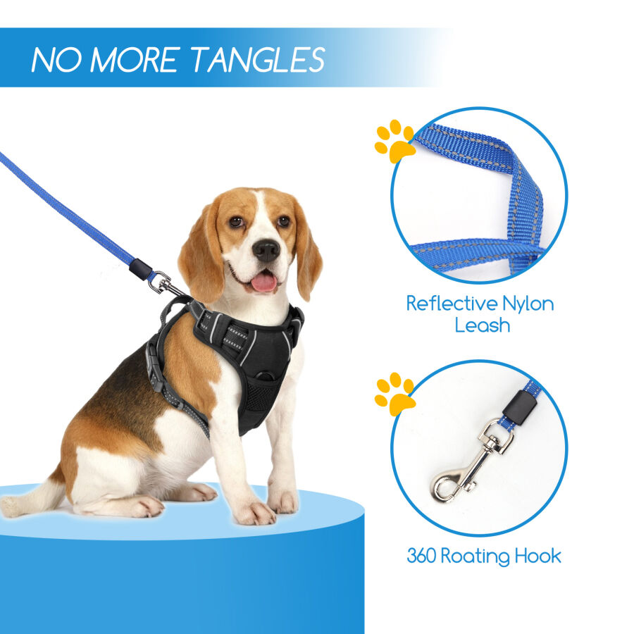Nobleza Correa Perro Extensible, Correa de Perro retr&aacute;ctil de 360&deg; sin enredos, Cinta Flexible para Adiestramiento y Paseo, para Perros Peque&ntilde;os, Medianos (Azul, 3 Metros), , large Imagen numero 2