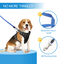 Nobleza Correa Perro Extensible, Correa de Perro retráctil de 360° sin enredos, Cinta Flexible para Adiestramiento y Paseo, para Perros Pequeños, Medianos (Azul, 3 Metros), , large indicador imagen numero 2
