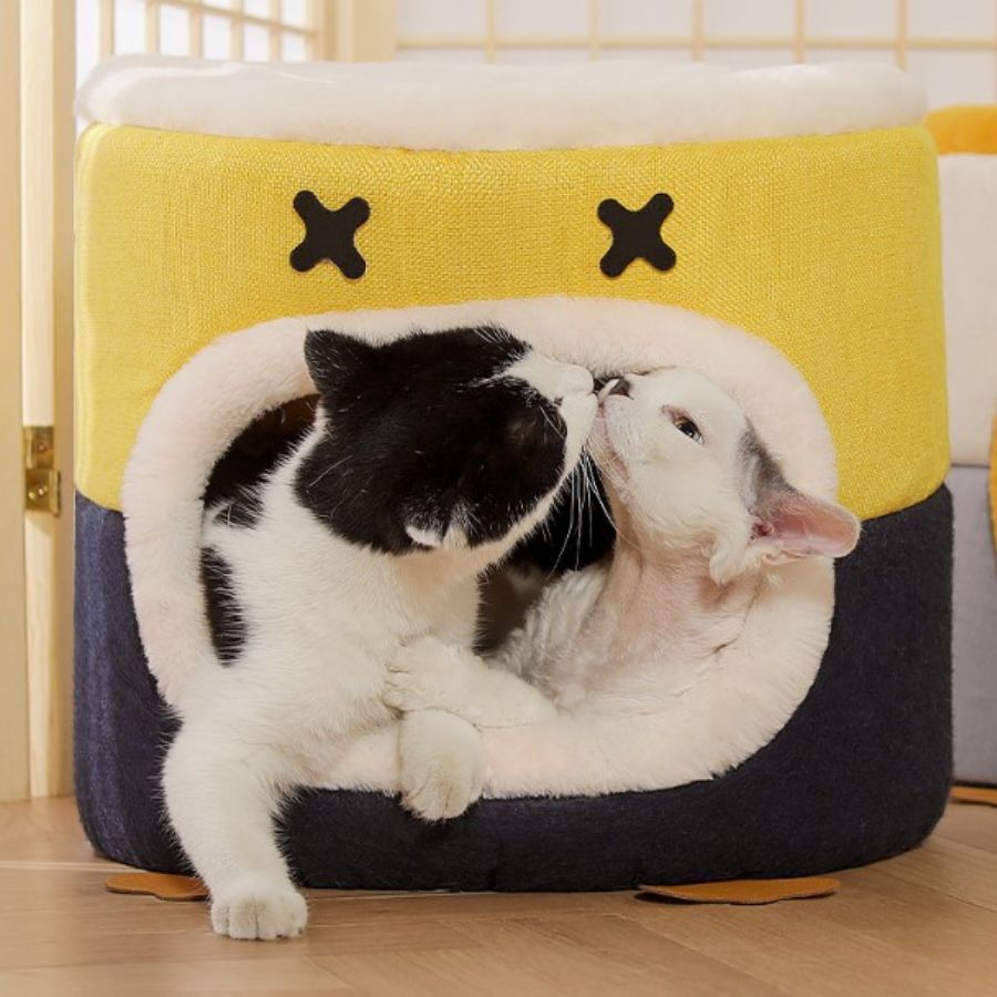 Caseta para tu mascota carita soriente, , large Imagen numero 3