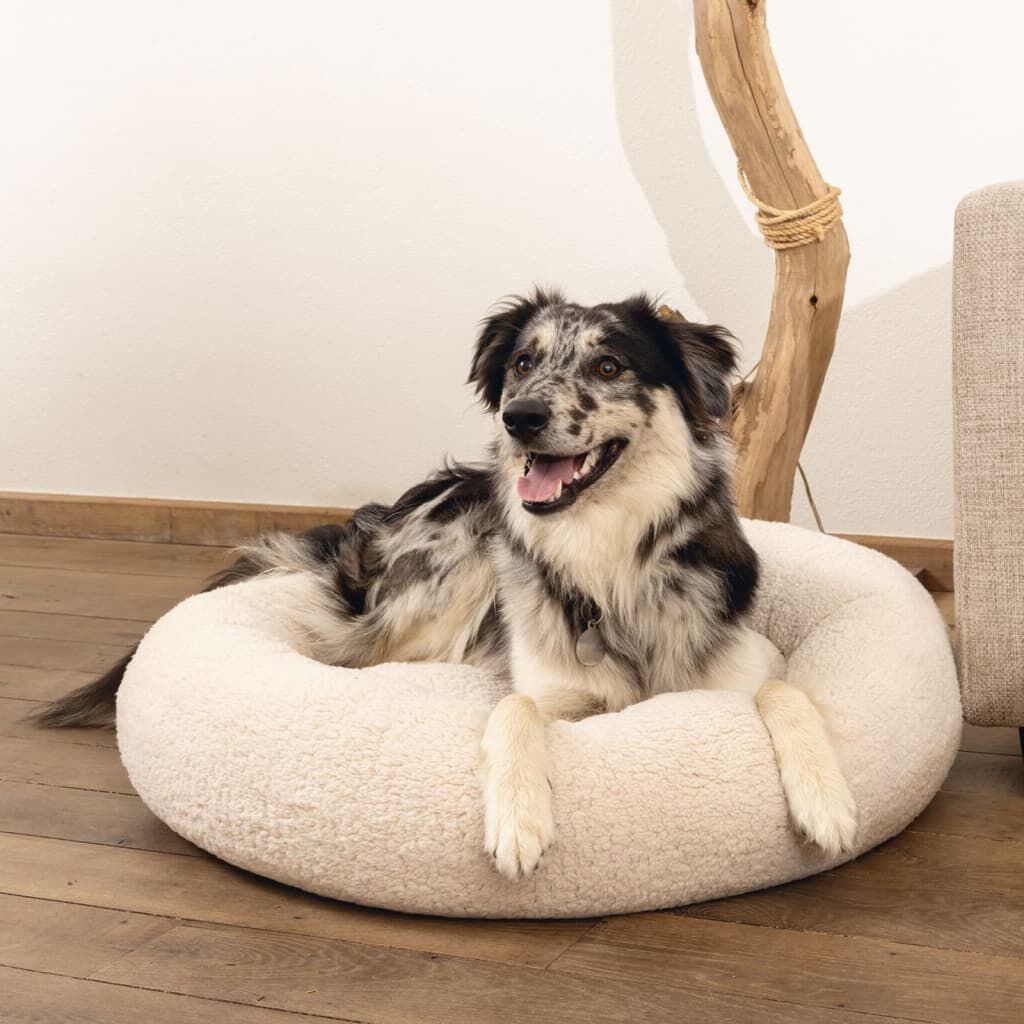 Cama Para Perros, , large Imagen numero 6