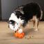 Juguete interactivo para perros Treat Star BIONIC, , large indicador imagen numero 4