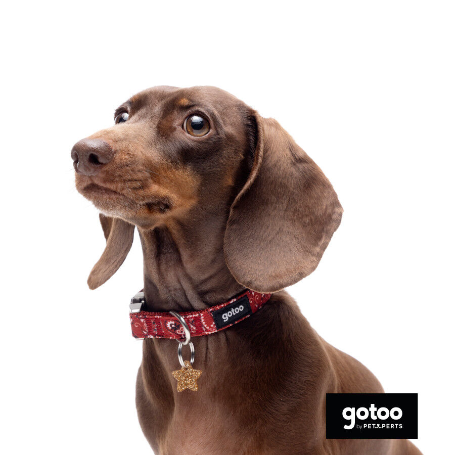 Gotoo Collar estampado cachemira rojo para perros, , large Imagen numero 6