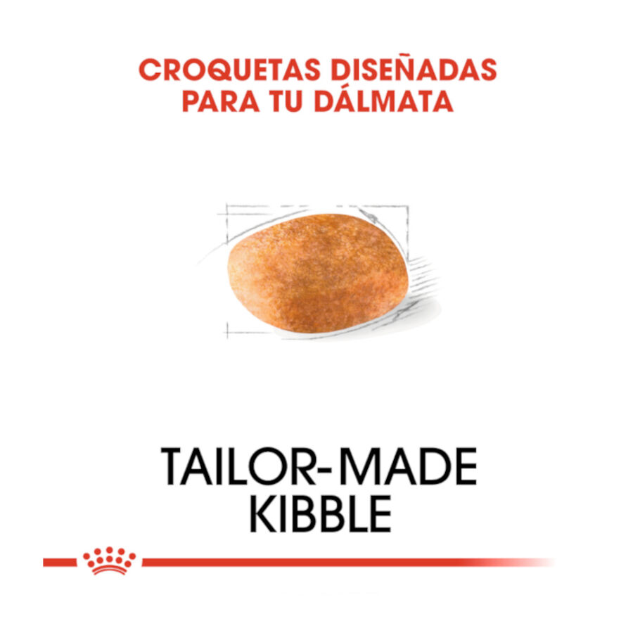 Royal Canin Adult Dálmata pienso para perros thumbnail