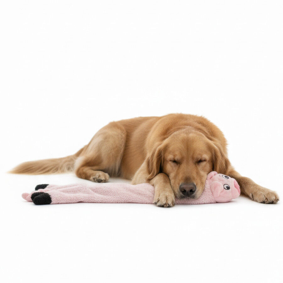 LOVE THE EARTH Peluche Cerdo con Sonido para perros, , large Imagen numero 4