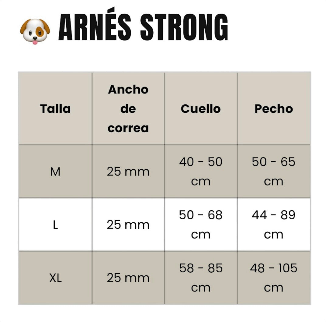 ARN&Eacute;S STRONG FRENCHTOUTOU GRAFFITI, , large Imagen numero 3