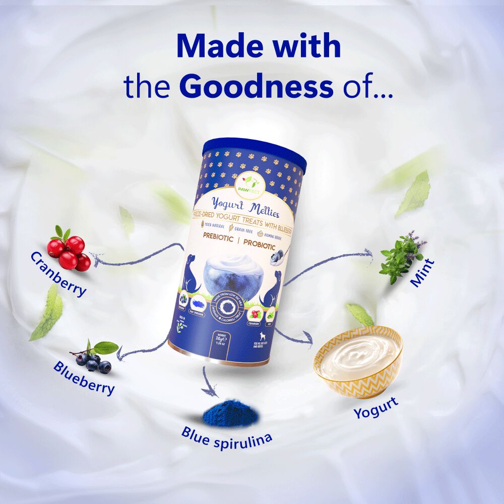 Golosinas prebi&oacute;ticas y probi&oacute;ticas para perros: ar&aacute;ndanos y yogur (38 g/1,34 oz), , large Imagen numero 4