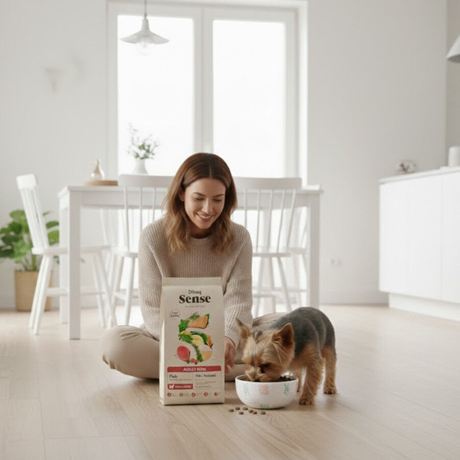 2 kg Dibaq Sense Low Grain Ault Mini Pescado Pienso para perros, , large Imagen numero 4