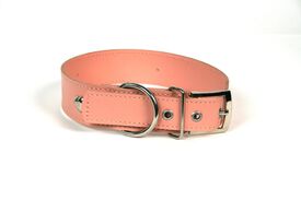 LGMCAN Collar de Piel Rosa con Corazones para perros