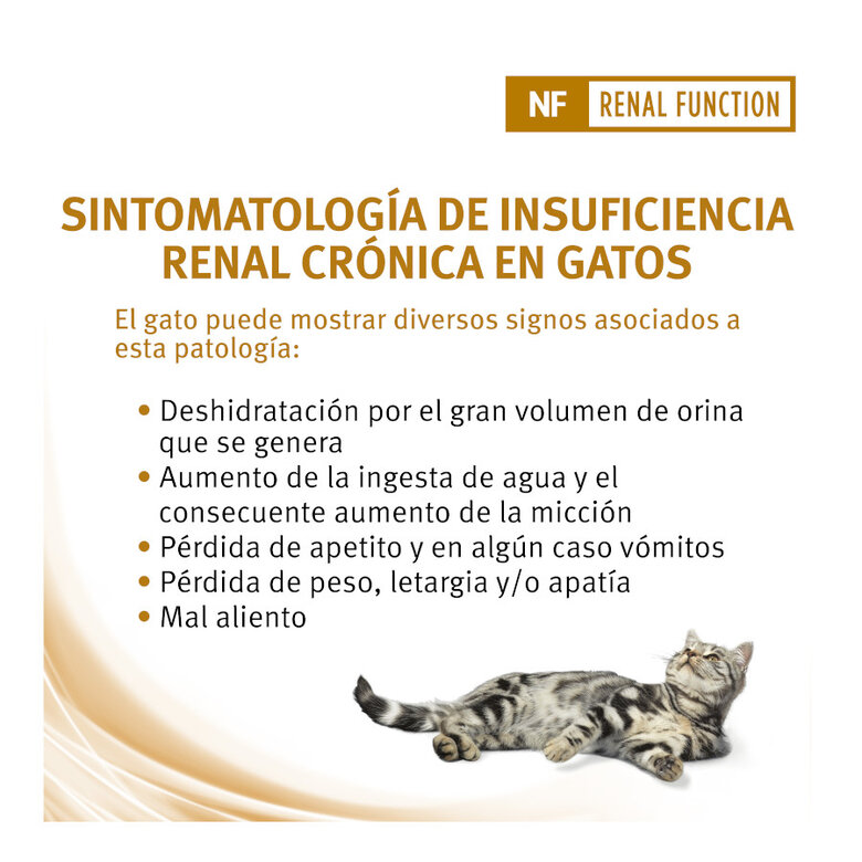 Pro Plan Veterinary Diets Renal sobres para gatos, , large image number null