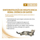 Pro Plan Veterinary Diets Renal sobres para gatos, , large image number null