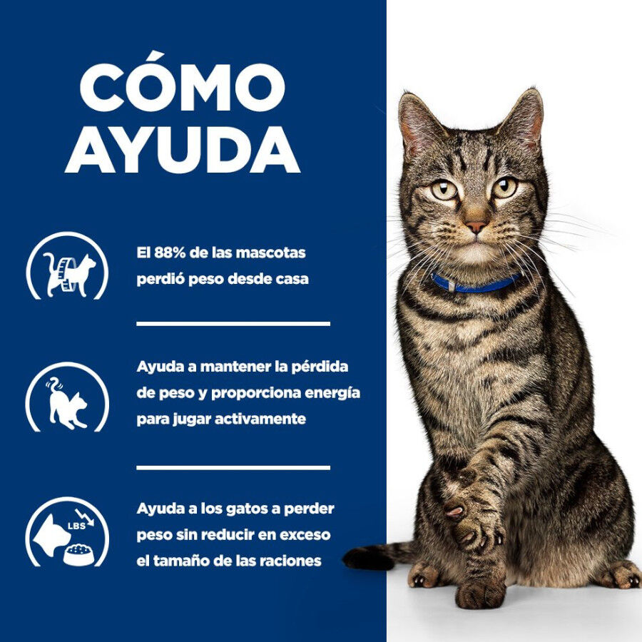 8 kg Hill's Prescription Diet Metabolic Salm&oacute;n pienso para gatos, , large Imagen numero 8