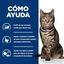 8 kg Hill's Prescription Diet Metabolic Salm&oacute;n pienso para gatos, , large indicador imagen numero 8