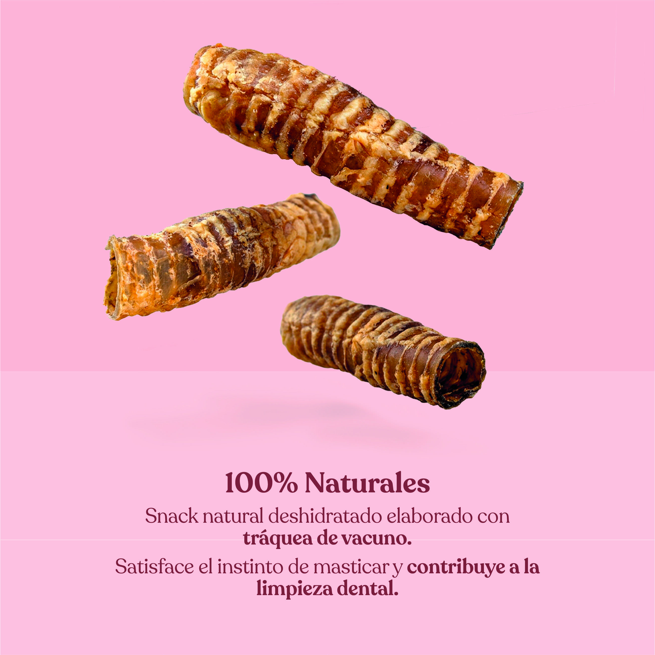 dr.bimix Tr&aacute;queas de Ternera para Perros | Snack Natural para Masticaci&oacute;n, , large Imagen numero 2