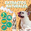 Champú 500ML Espuma de Coco Lavado Seco Sin Enjuague para Mascotas, , large indicador imagen numero 4