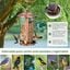 COSTWAY Comedero 2 en 1 de Metal para P&aacute;jaros Silvestres, Comedero Solar con Techo y 2 Tubos para P&aacute;jaros al Aire Libre,Comedero para Semillas de Aves Separadas, Decoraci&oacute;n de Jard&iacute;n y Patio, , large indicador imagen numero 5