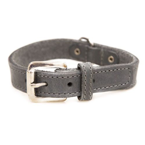 TK-Pet Namur gris collar de cuero para perros Imagen numero 1