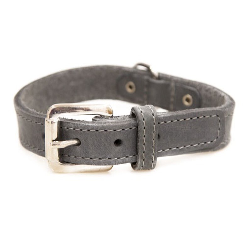 TK-Pet Namur gris collar de cuero para perros image number null